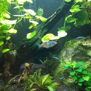 Meet your Posher, Nicky